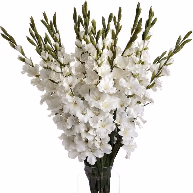KDMK White Artificial Gladioli Floral Stems