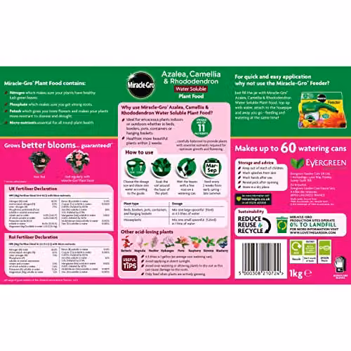 Miracle-Gro Azalea, Camellia and Rhododendron Soluble Plant Food, 1 kg – 2