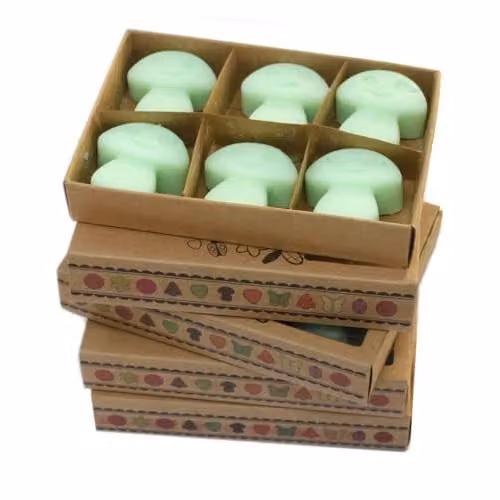 KDMD Liquorice Wax Melts, Box of 6, Green