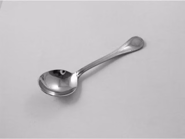 Orsina Sl Georgia Polished Silver Stainless Steel Soup Spoon for Adults