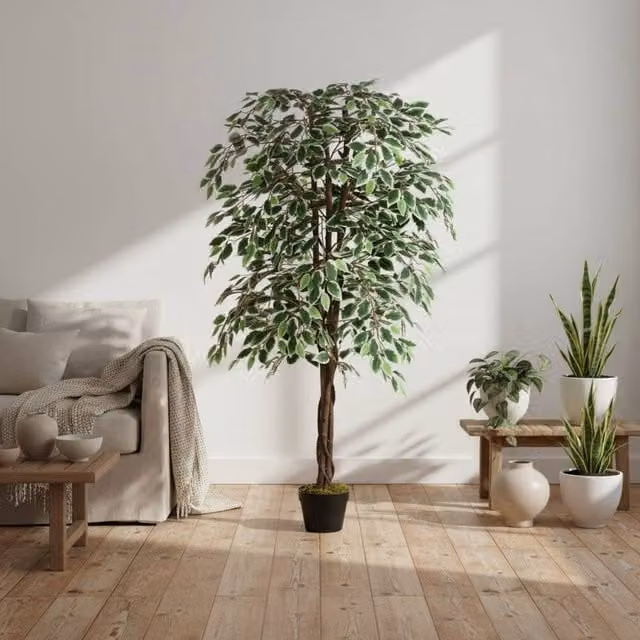Wyld Haus Keco Yona 160cm Artificial Ficus Indoor Plant in Green Decorative Pot