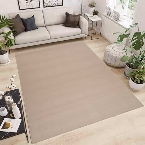 Desire Rugs Plain Modern Rectangular Living Room Area Rug, Beige, W: 160 cm, L: 230 cm – 1