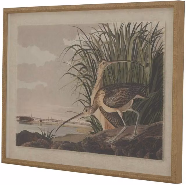 Hill Interiors Flora & Fauna Collection Beaded Lined Framed Wall Art in Brown and Multicolour