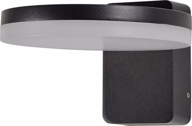 Litecraft Zinnia Modern Round LED Outdoor Wall Light, Black