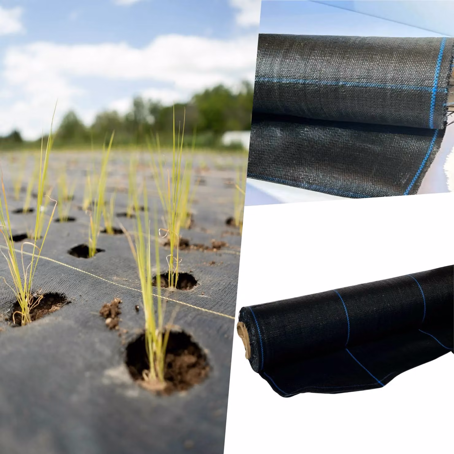 Pegdev Durable Polywoven Groundcover Fabric, Black, 5m x 1m – 4