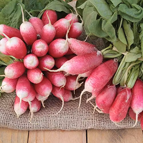 Thompson & Morgan French Breakfast 3 Radish Vegetable Seeds, Red and White – 3