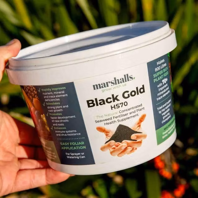 Marshalls Bio-Gro Black Gold Liquid Plant Tonic Fertiliser, 400 g