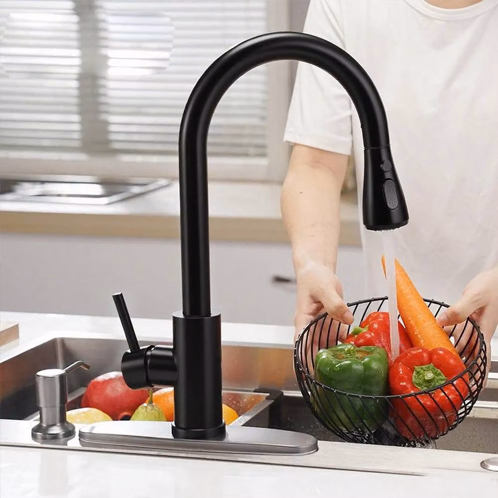 FORGEVIO Modern Single Lever Pull Out Kitchen Tap with Spray Function in Matt Black – 3