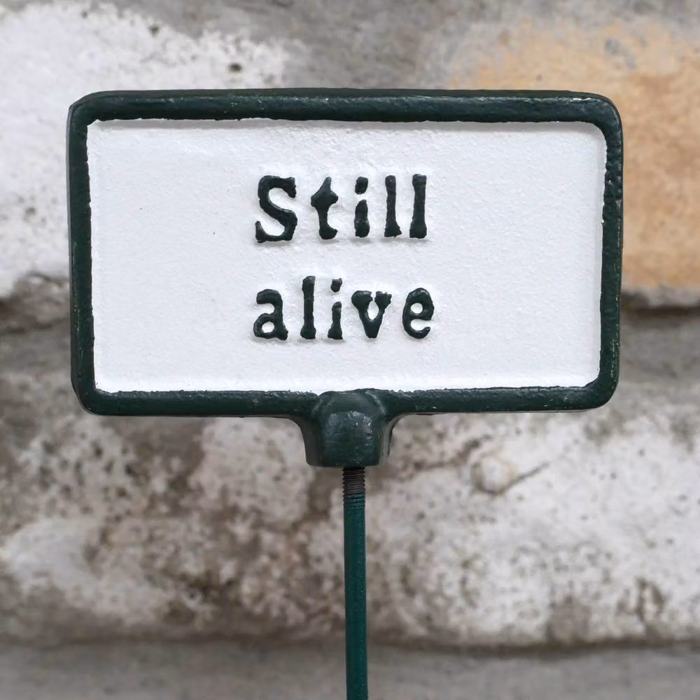 Gifts Direct 2 U Still Alive Garden Stake Plant Sign in Green and White Metal – 3