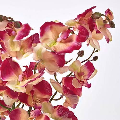 Homescapes Pink, Black and Green Oriental Phalaenopsis Artificial Orchid with Textile and Stone Base, Height: 60 cm, W/D/H: 18 x 18 x 60 cm – 7
