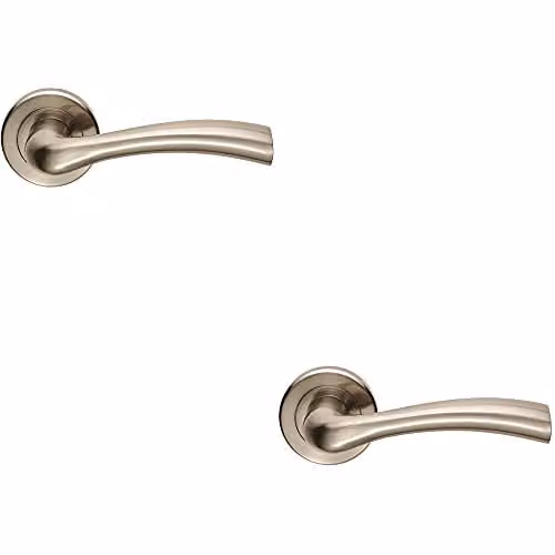 Loops Pair of Curved Flared Door Handles with Concealed Fix Round Rose in Brushed Silver
