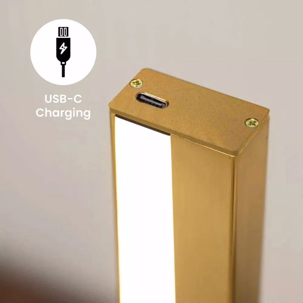 FLAVORA Wireless Rechargeable LED Picture Light with Remote Control in Gold/Brass – 3