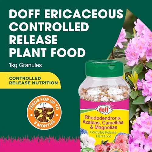 Doff Slow Release Ericaceous Feed 1 kg – 2