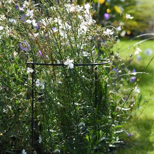 Garden Gear Metal Half Round Plant Support Frame for Outdoor Garden Flowers, Green, Height: 60 cm