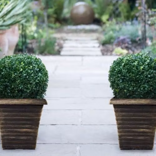 Thompson & Morgan Biscotti Square Patio Pot Planter in Bronze and Black Finish, Diameter: 23 cm – 2