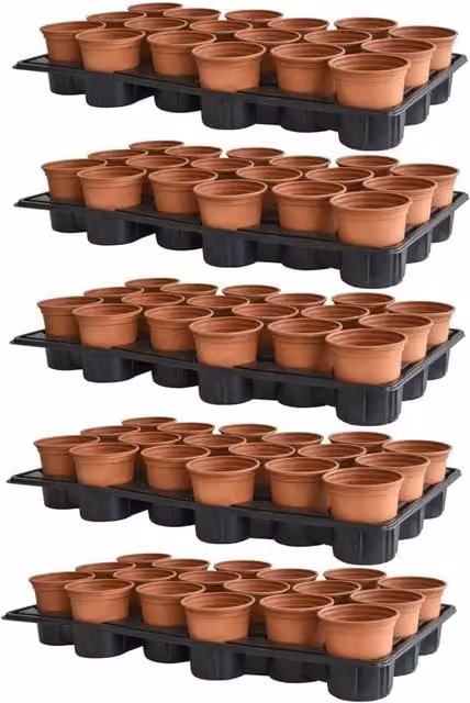Thompson & Morgan Terracotta Shuttle Trays and Pots in Orange and Brown