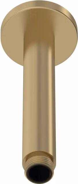 Balterley Round Ceiling Mount Shower Arm Extension in Brushed Brass, H x W x D: 225 x 60 x 60 mm