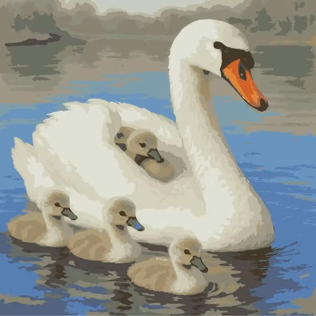 Syntego DIY Paint by Numbers Kit Swan and Cygnets, Multicolour and Grey Canvas for Adults