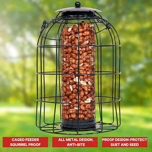 Samuel ALEXANDER Pack of 4 Black Metal Wild Bird Hanging Nut Feeders with Squirrel Guard – 9