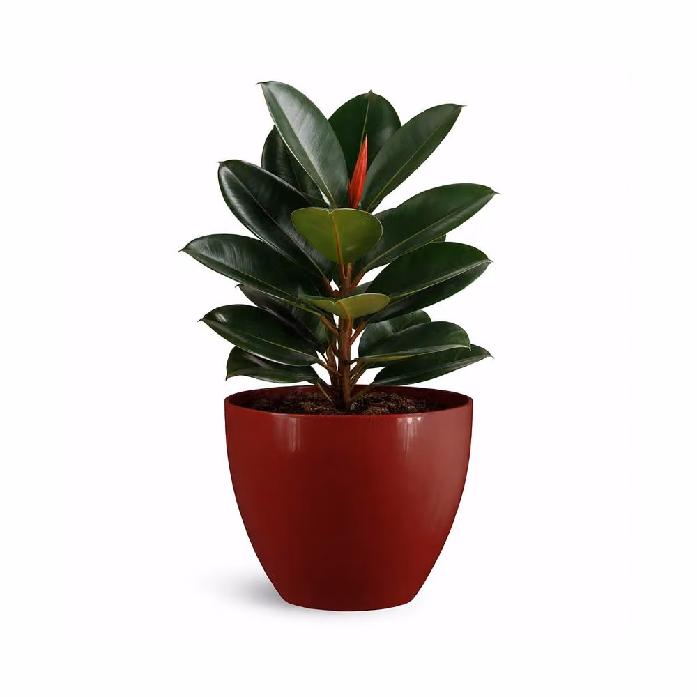 Simpa Avant-Garde Gloss Plastic Planter Set of 2 in Red – 1