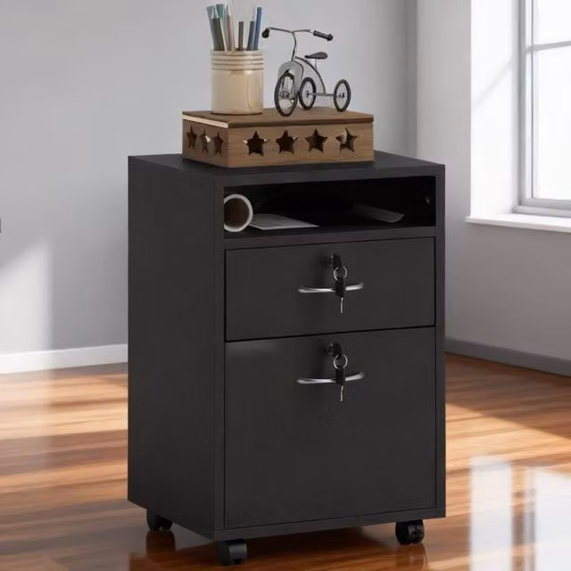 ERGOVEXA Mobile Filing Cabinet with 2 Drawers and Lock, Black