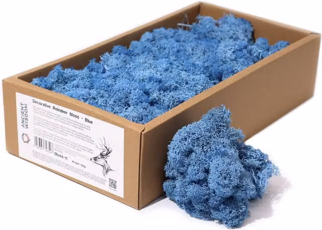 KDMK Blue Reindeer Moss Decorative Organic Floral Accent