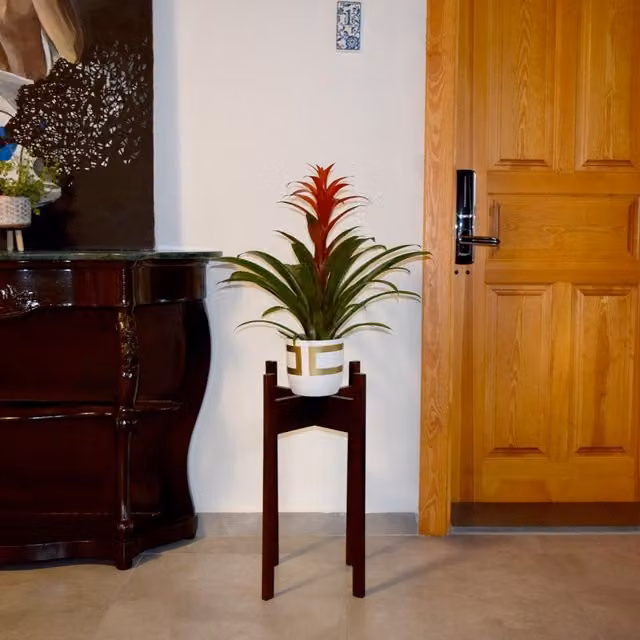 Decorotika Florny Modern Wood Plant Stand in Black or Brown, H 60 x W 36 x D 36 cm