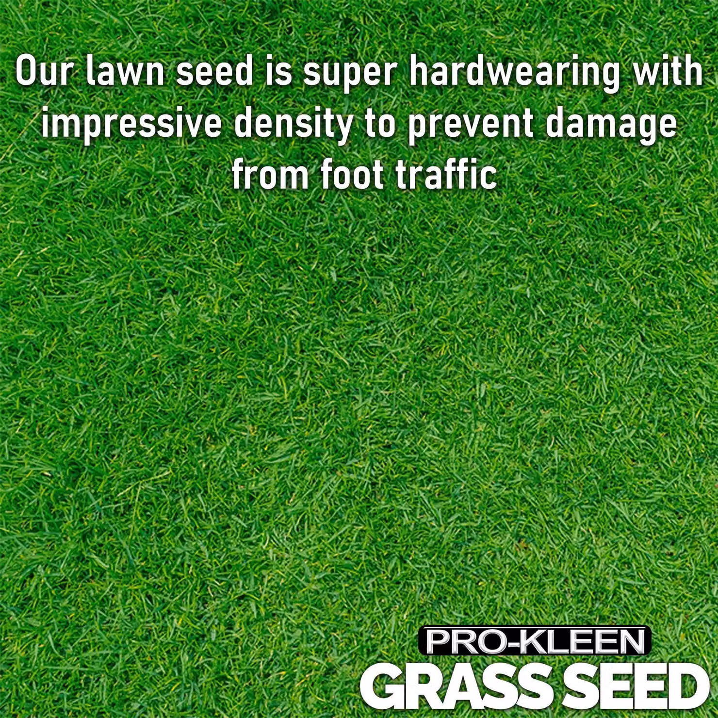 ProKleen 3 Way Ryegrass Mix Lawn Seed, Fast Germination and Multi-Resistant, 20kg – 2