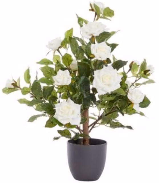 Marco Paul Artificial Rose Bush Tabletop Potted Plant in Green and White