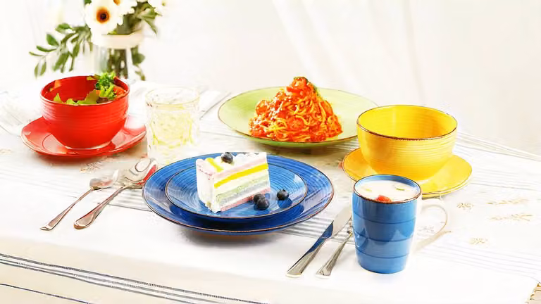Simpa 16 Piece Hand Painted Multicolour Stoneware Dinner Set