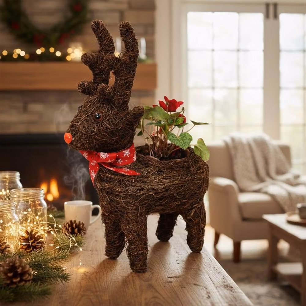 Four Candle Brown Rattan Reindeer Christmas Planter with Red Scarf, Height: 36 cm – 2