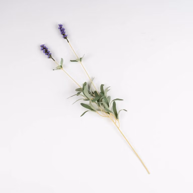Scottish Everlastings Ltd Purple Lavender Stem Pack of 5, Height: 53 cm