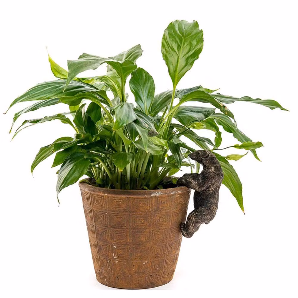 Jardinopia Polar Bear Hanging Plant Pot Hanger, Bronze, W: 5 cm, D: 10.5 cm, H: 6 cm – 2
