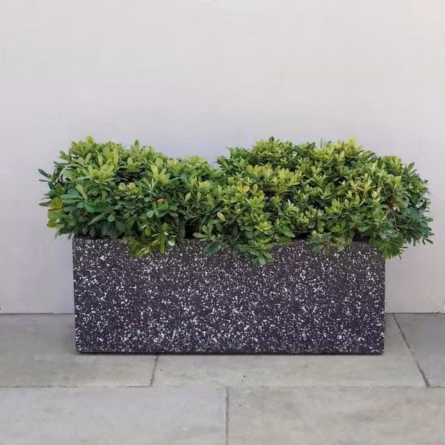 Primrose Zinc Trough Planter in Grey Black Stone Finish, 70 cm