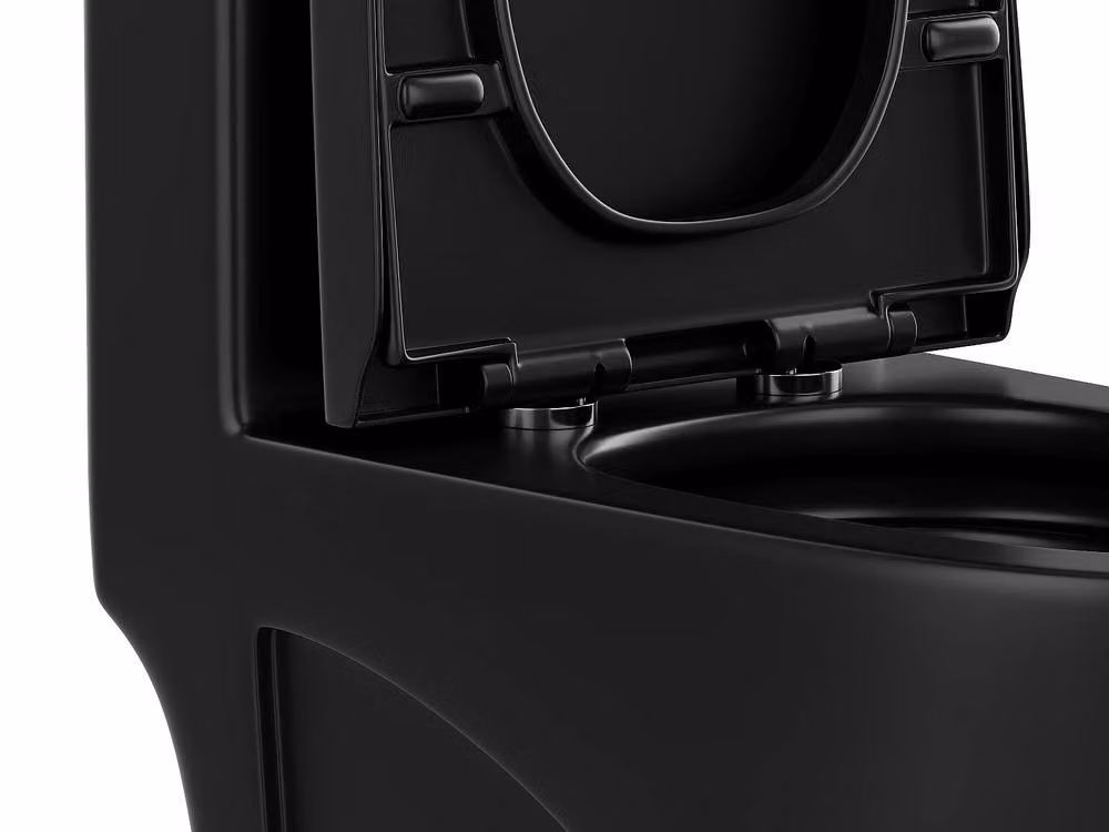 Vente-unique NAGILAM Matt Black Ceramic Floor-Standing WC with Vertical Outlet and Soft-Close Seat, W: 35 cm, D: 44 cm, H: 69 cm – 3