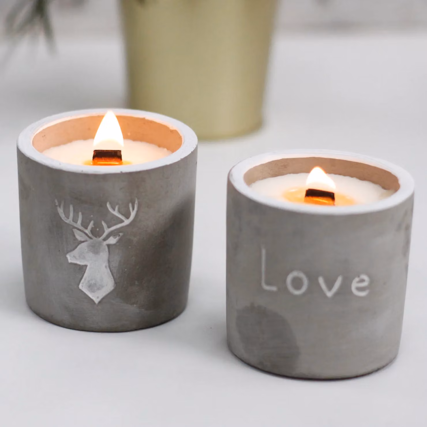 KDMD Med Pot Stag Head Concrete Tabletop Planter in Grey with Whiskey and Woodsmoke Scent – 2