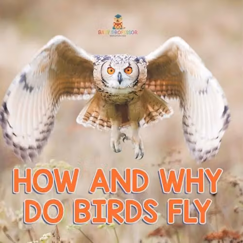 Baby Professor How and Why Do Birds Fly Book