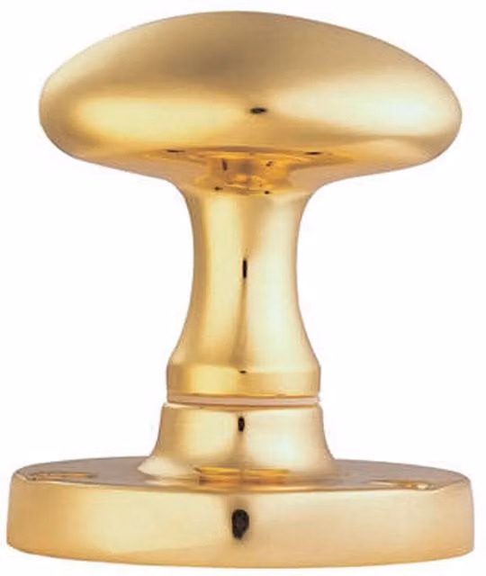 Loops Pair of Large Oval Mortice Door Knobs in Polished Brass, 61mm Diameter