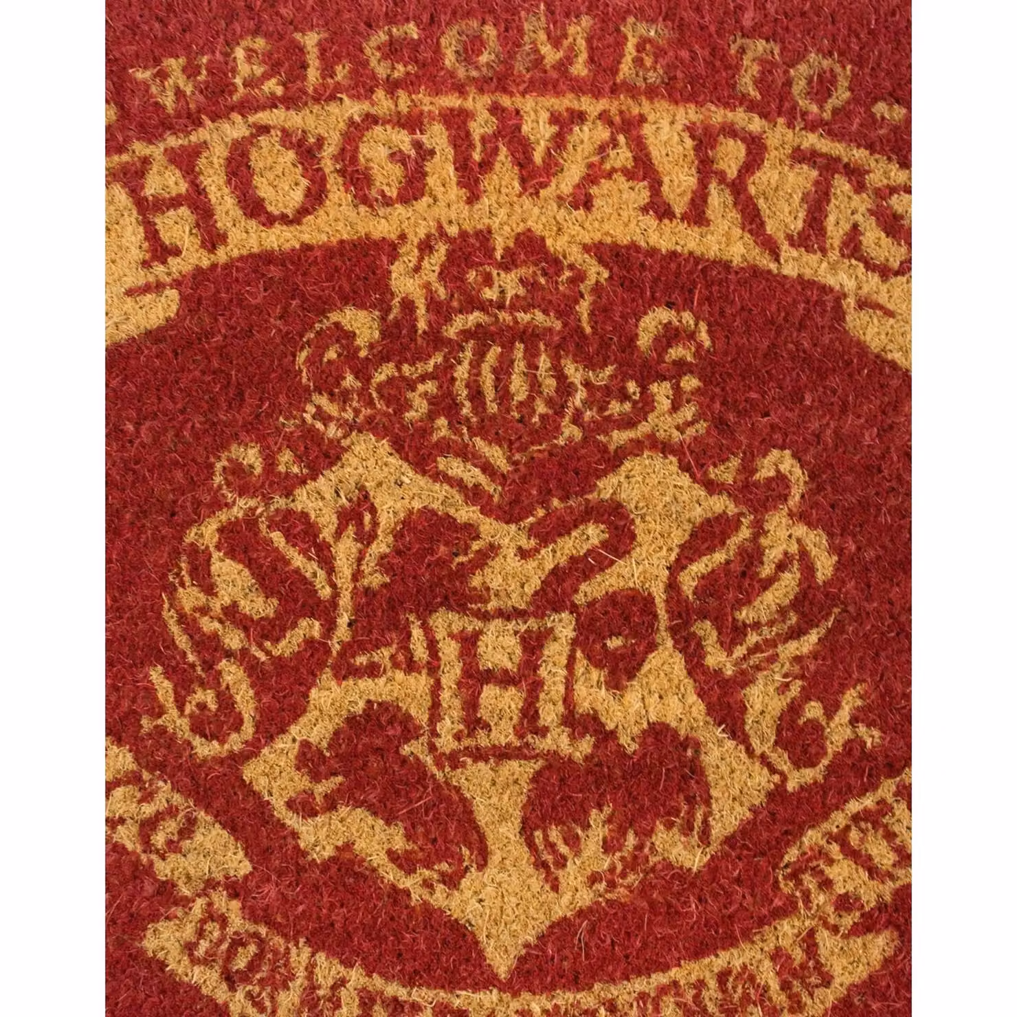 Pyramid International Harry Potter Licensed Character Coir Door Mat, Multicolour, W/D/H: 60 x 40 x 2.5 cm – 2