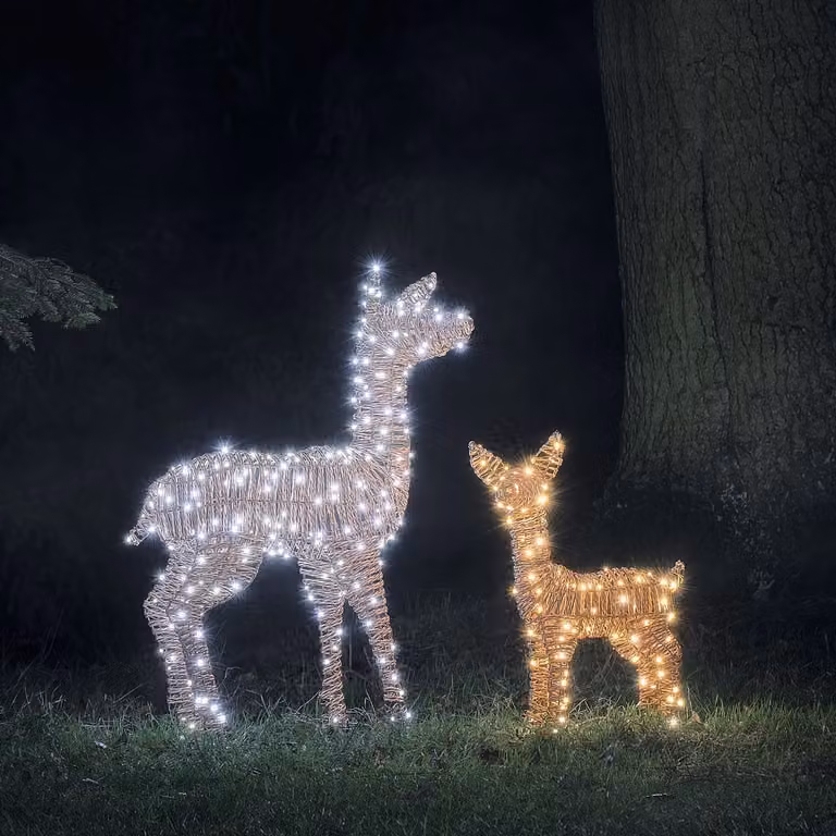Pateley Dual LED Rattan Fawn and Doe Light Up Reindeer Duo in Brown and Black