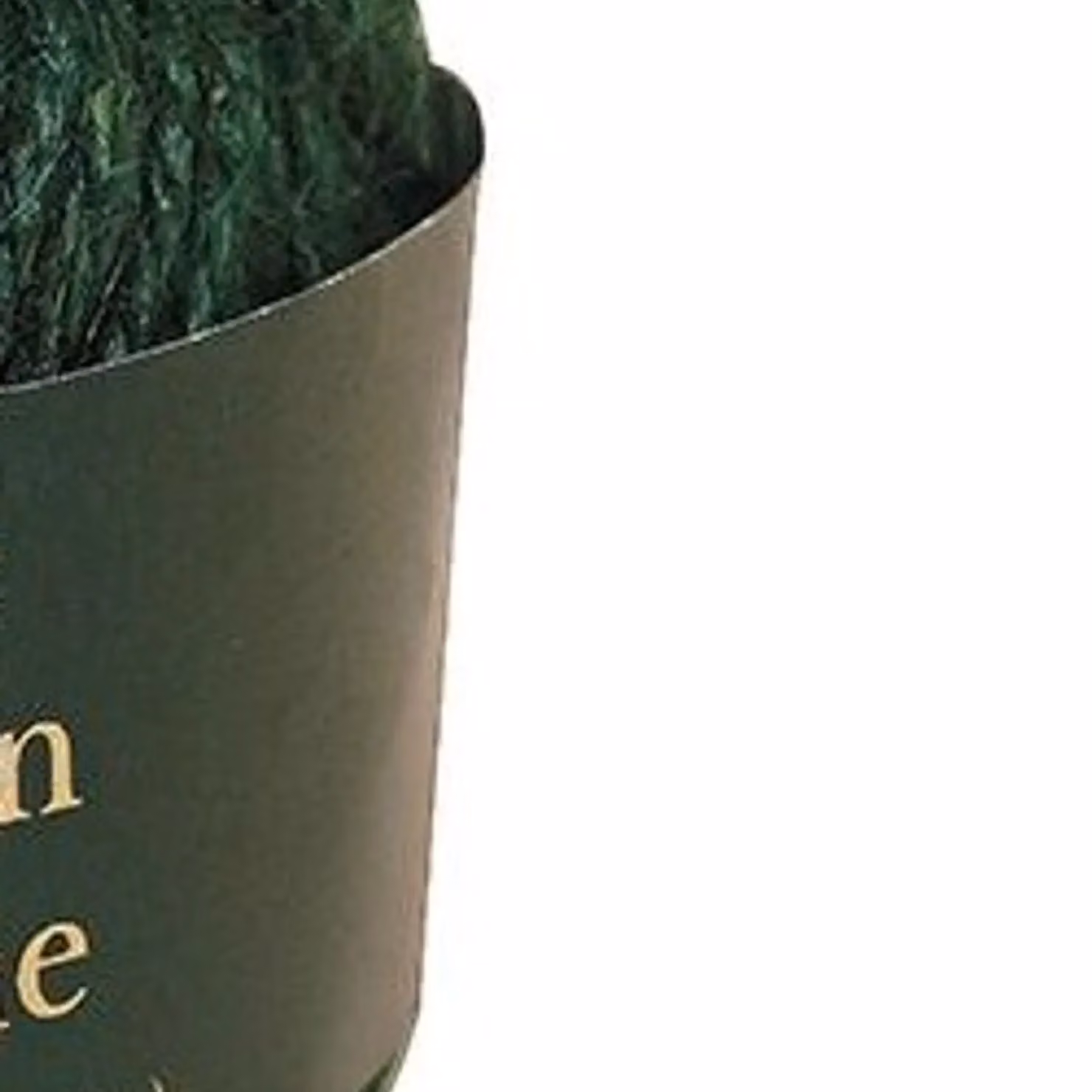 Kent & Stowe Green Jute Twine, 100g – 2