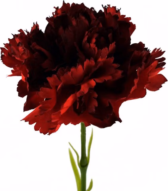 Single Red Artificial Carnation Flower with Textile Leaves