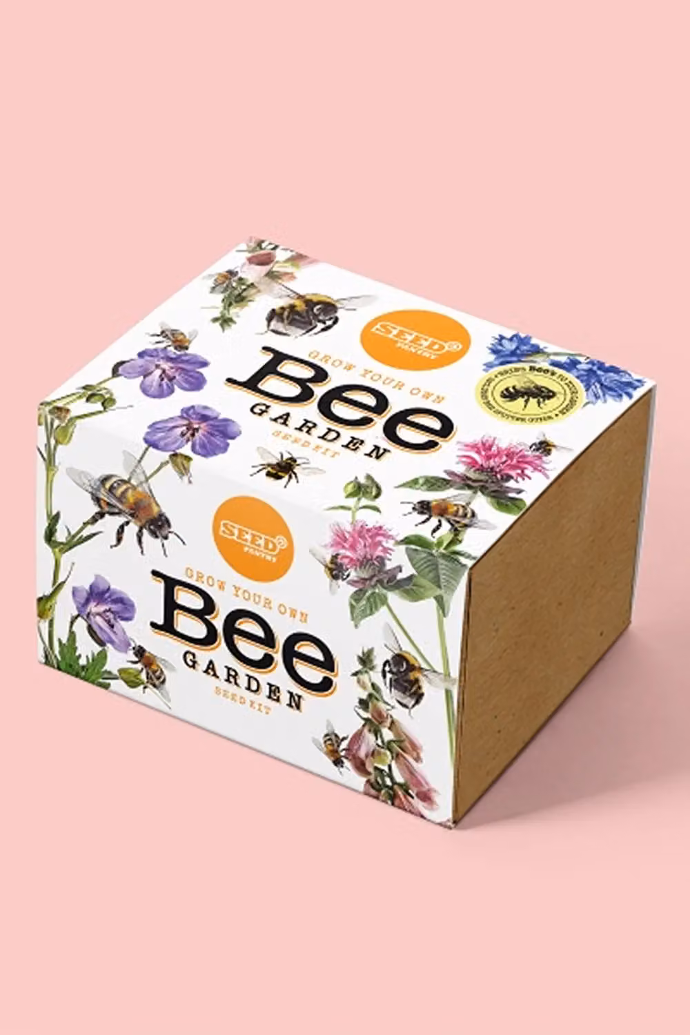 Seed Pantry Bee Garden and Kids Vegetable Growing Seed Kit Set, Multicolour – 2
