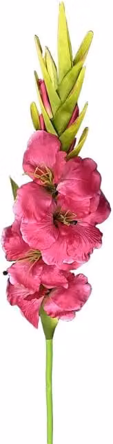 Leaf UK Pink Artificial Gladioli Stem, 115 cm