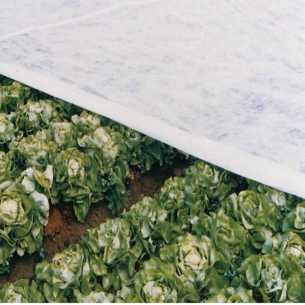 BARGAINS-GALORE Pack of 2 White Frost Protection Plant Fleece Garden Cover Sheets – 3