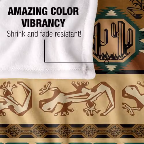 JQ Licensing Southwest Desert Silky Touch Super Soft Ethnic Throw Blanket, Multicolour, W: 91 cm, L: 147 cm – 3