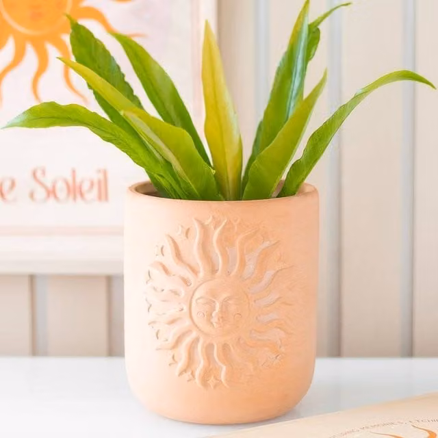 Uniqueful Terracotta Sun Plant Pot in Orange