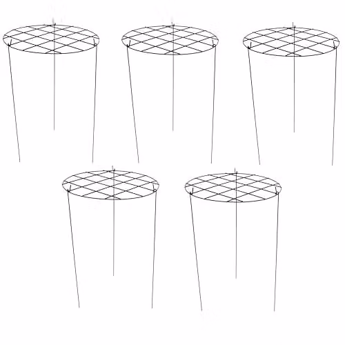 Garden Gear Black Metal Round Grow Through Grid Plant Support, Height: 76 cm, W/D: 50 x 50 cm (Pack of 5) – 1