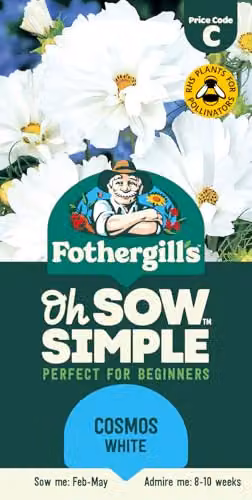 Mr Fothergill's Oh Sow Simple Cosmos White Flower Seeds – 1