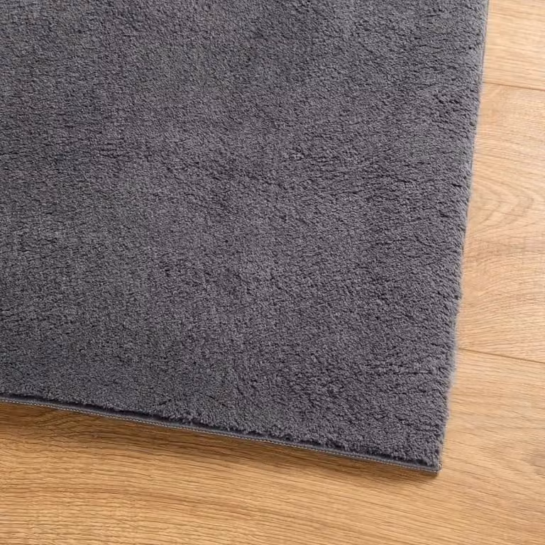 Berkfield Home Round Short Pile Soft and Washable Rug in Anthracite and Black, Diameter: 160 cm